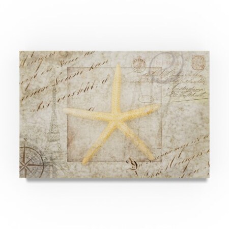 Trademark Fine Art Lightboxjournal 'Gypsy Sea Type Star' Canvas Art, 12x19 ALI23671-C1219GG